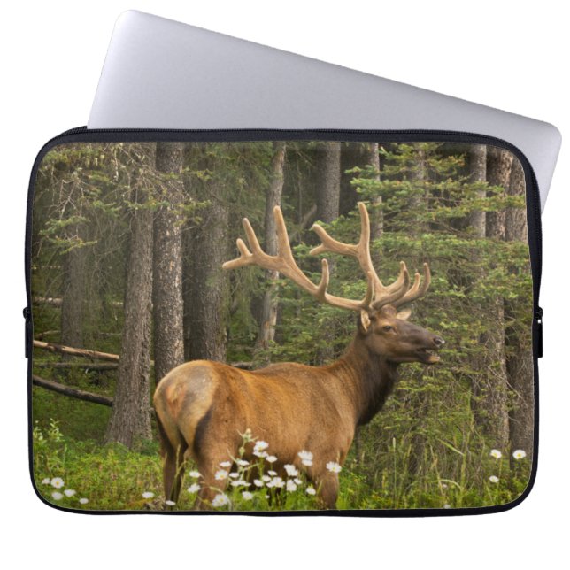 Wapitihert in fluweel, Canada Laptop Sleeve (Voorkant)