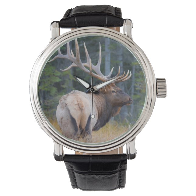 Wapitihert in Rocky Mountains Horloge (Voorkant)