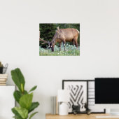 Wapitihert met gewei in fluweel grazend poster (Thuiskantoor)
