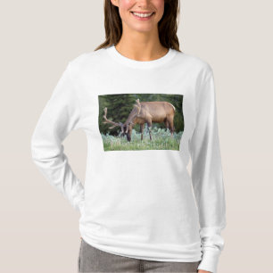 Wapitihert met gewei in fluweel grazend t-shirt