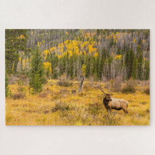 Wapitihert Rocky Mountain National Park Colorado Legpuzzel