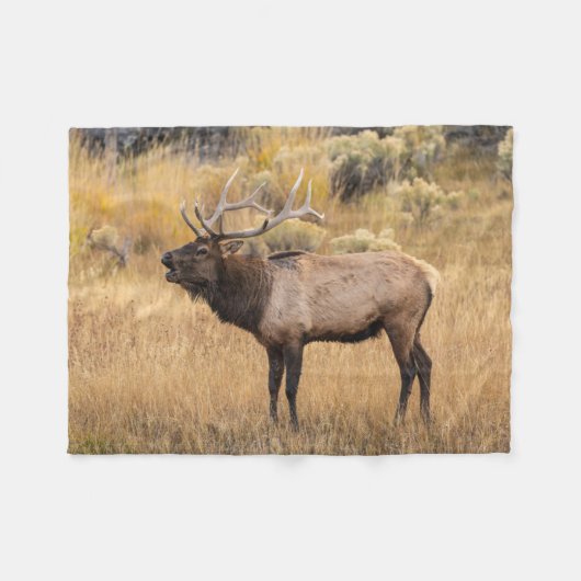 Wapitihert | Yellowstone National Park Fleece Deken (Voorkant (Horizontaal))