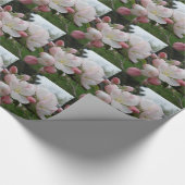 Wappapier met witte en roze vulling cadeaupapier (Hoek)