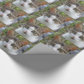 Wappapier voor witte en tabletkat cadeaupapier (Hoek)