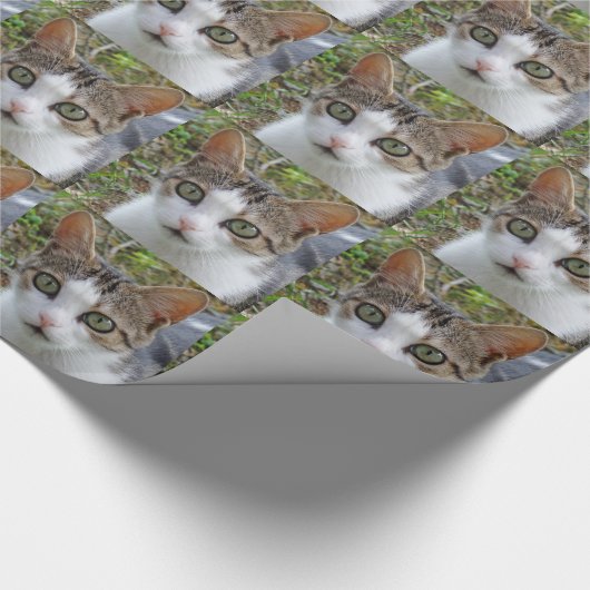 Wappapier voor witte en tabletkat cadeaupapier (Hoek)