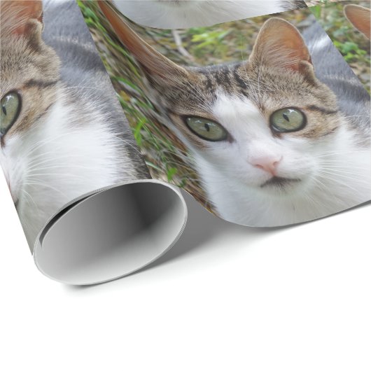 Wappapier voor witte en tabletkat cadeaupapier (Rol Hoek)