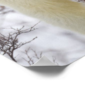 Wapusk National Park, Canada. Poster (Hoek)