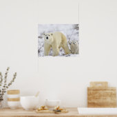 Wapusk National Park, Canada. Poster (Keuken)