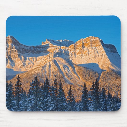 Waputik Range in Canadese Rocky Mountains Muismat (Voorkant)