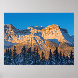 Waputik Range in Canadese Rocky Mountains Poster