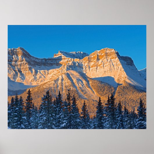Waputik Range in Canadese Rocky Mountains Poster (Voorkant)