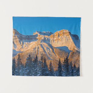 Waputik Range in Canadese Rocky Mountains Wandkleed