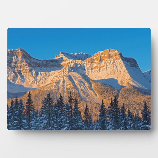 Waputik Range in Canadian Rocky Mountains Fotoplaat (voorkant)