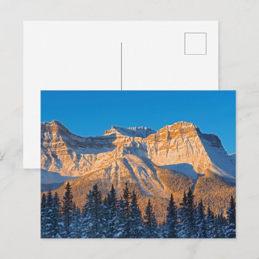 Waputik Range in het Canadese Rocky Mountains Briefkaart (Voorkant / Achterkant)
