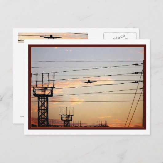 War Bird Briefkaart (Voorkant / Achterkant)