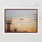 War Bird Briefkaart (Voorkant)