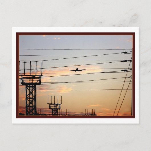 War Bird Briefkaart (Voorkant)