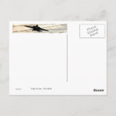 War Bird Briefkaart (Achterkant)