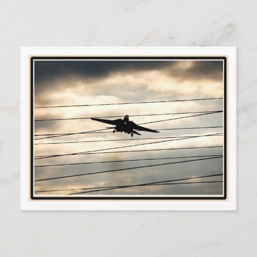 War Bird Briefkaart (Voorkant)