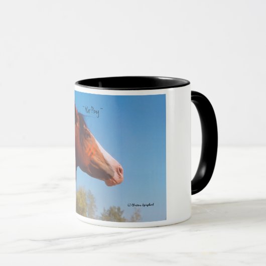 War Pony Paint Horse Feathers Mok (Voorkant rechts)