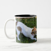 WAR TWEEKLEURIGE KOFFIEMOK (Links)