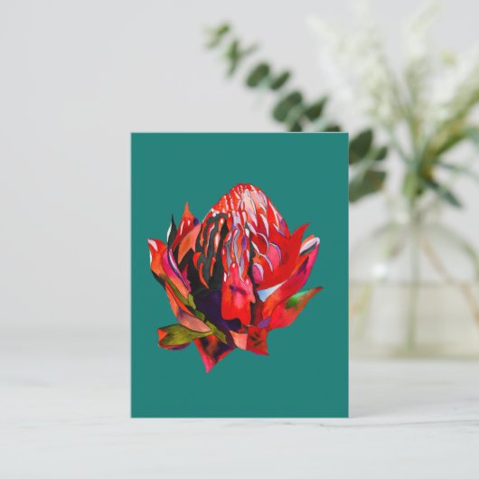 Waratah Australische waterverf van inheemse bloeme Briefkaart (Staand voorkant)