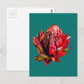 Waratah Australische waterverf van inheemse bloeme Briefkaart (Voorkant / Achterkant)