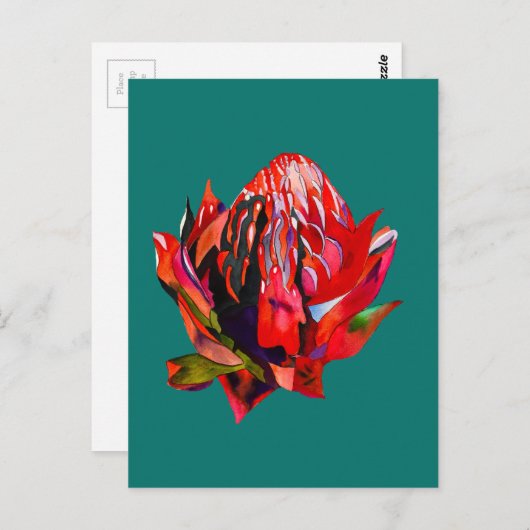 Waratah Australische waterverf van inheemse bloeme Briefkaart (Voorkant / Achterkant)