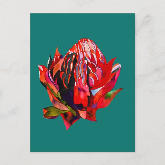 Waratah Australische waterverf van inheemse bloeme Briefkaart (Voorkant)
