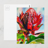 Waratah Australische waterverf van inheemse bloeme Briefkaart (Voorkant / Achterkant)