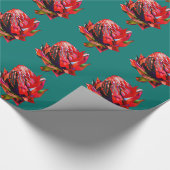 Waratah Australische waterverf van inheemse bloeme Cadeaupapier (Hoek)