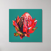 Waratah Australische waterverf van inheemse bloeme Canvas Afdruk (Voorkant)