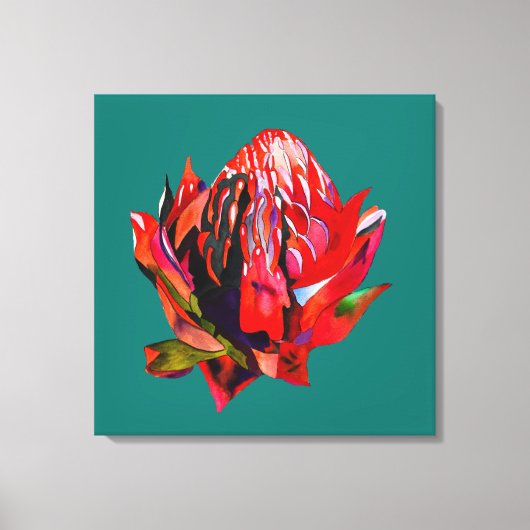 Waratah Australische waterverf van inheemse bloeme Canvas Afdruk (Voorkant)