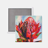 Waratah Australische waterverf van inheemse bloeme Magneet (Voorkant / Achterkant)