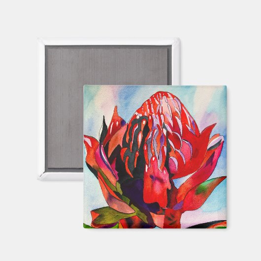 Waratah Australische waterverf van inheemse bloeme Magneet (Voorkant / Achterkant)