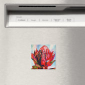 Waratah Australische waterverf van inheemse bloeme Magneet (Insitu (Vaatwasser))