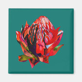 Waratah Australische waterverf van inheemse bloeme Magneet (Voorkant)
