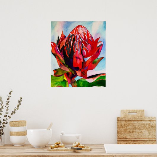 Waratah Australische waterverf van inheemse bloeme Poster (Keuken)