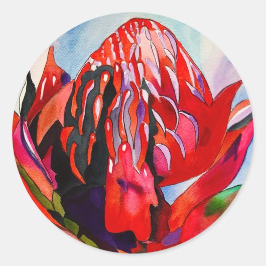 Waratah Australische waterverf van inheemse bloeme Ronde Sticker (Voorkant)