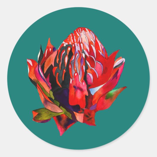 Waratah Australische waterverf van inheemse bloeme Ronde Sticker (Voorkant)