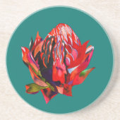 Waratah Australische waterverf van inheemse bloeme Zandsteen Onderzetter (Voorkant)