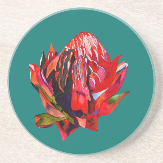 Waratah Australische waterverf van inheemse bloeme Zandsteen Onderzetter (Voorkant)