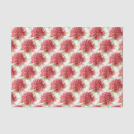 Waratah bloem waterverf rood botanisch tissuepapie tissuepapier