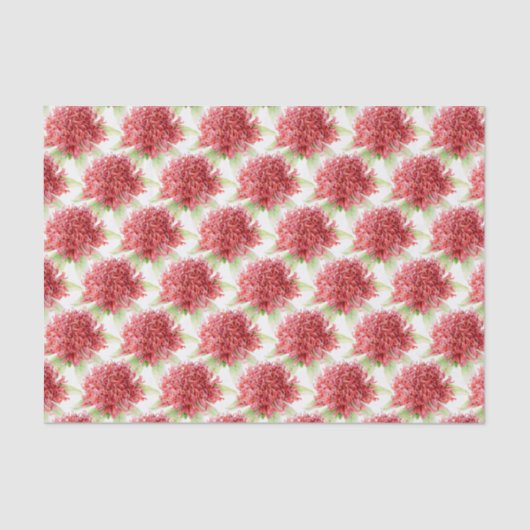 Waratah bloem waterverf rood botanisch tissuepapie tissuepapier (Voorkant)