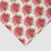 Waratah bloem waterverf rood botanisch tissuepapie tissuepapier (Detail)