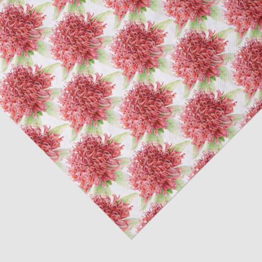 Waratah bloem waterverf rood botanisch tissuepapie tissuepapier (Detail)