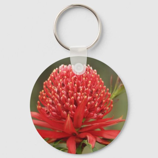 Waratah in bloom, Australië bloemen Sleutelhanger (Voorkant)