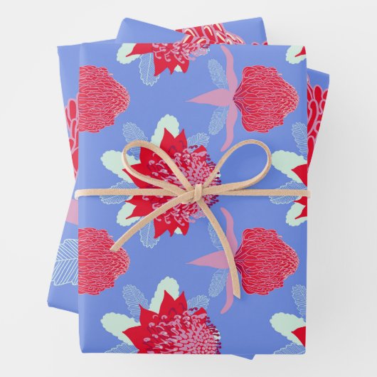 Waratah Inpakpapier Vel (In situ)