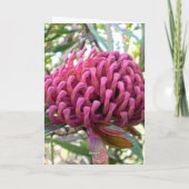 waratah kaart (Achterkant)