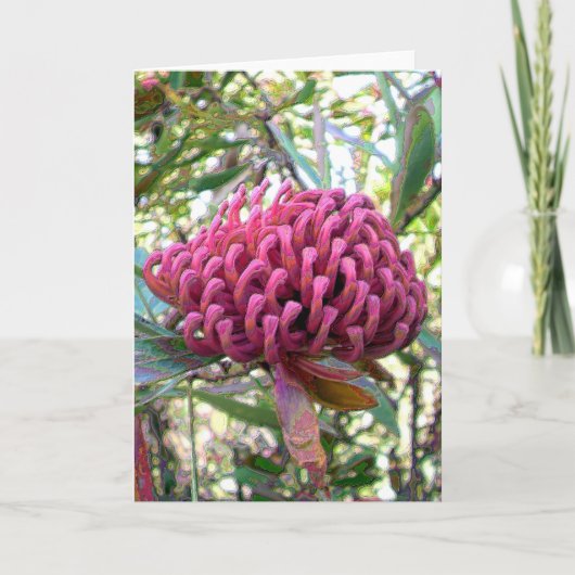 waratah kaart (Voorkant)